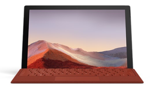 马尾清洁和维护 Surface